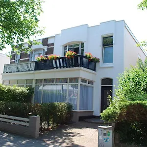 Picco Zandvoort